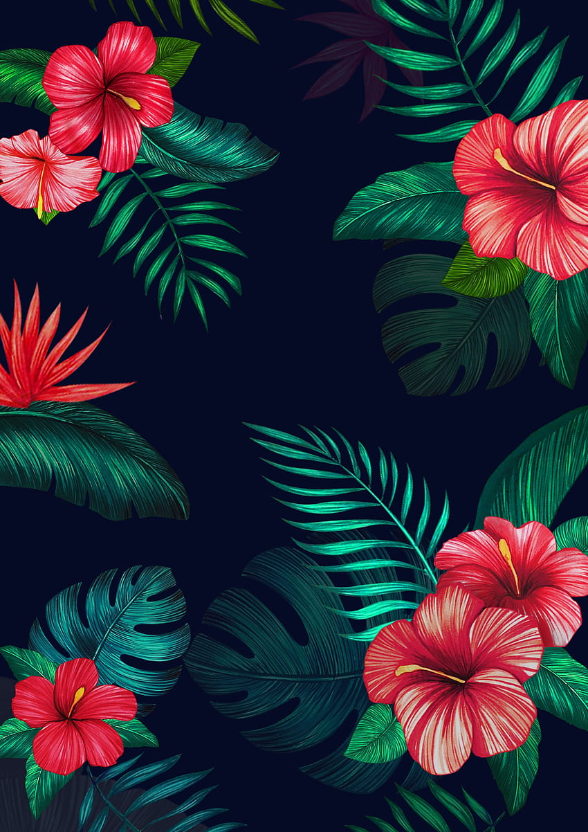 트로피칼 열대 그림 이미지 일러스트 수채화. Floral iphone, Floral , Black iphone, Cute Hawaiian Flowers HD phone wallpaper