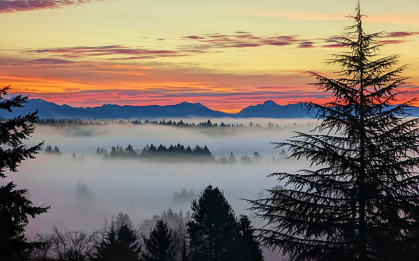 Wschód słońca nad Kaskadami z Pogórza, niebo, mgła, góry, kolory, drzewa, chmury Tapeta HD
