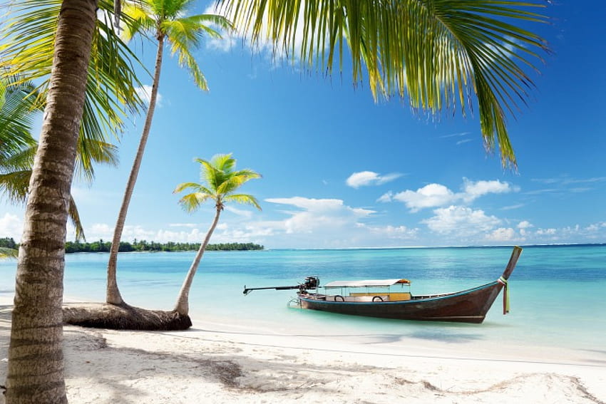 Tropical Beach, palms, sea, sunshine, boat, sand, tropical, beach HD wallpaper