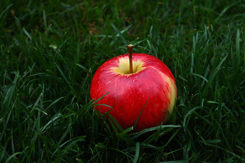 อาหาร หญ้า แอปเปิ้ล ผลไม้ วอลล์เปเปอร์ HD