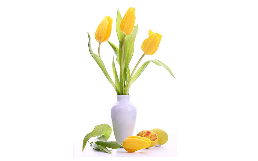 Цветя: Ваза Красиви жълти лалета Семпла елегантна цветна градина HD тапет
