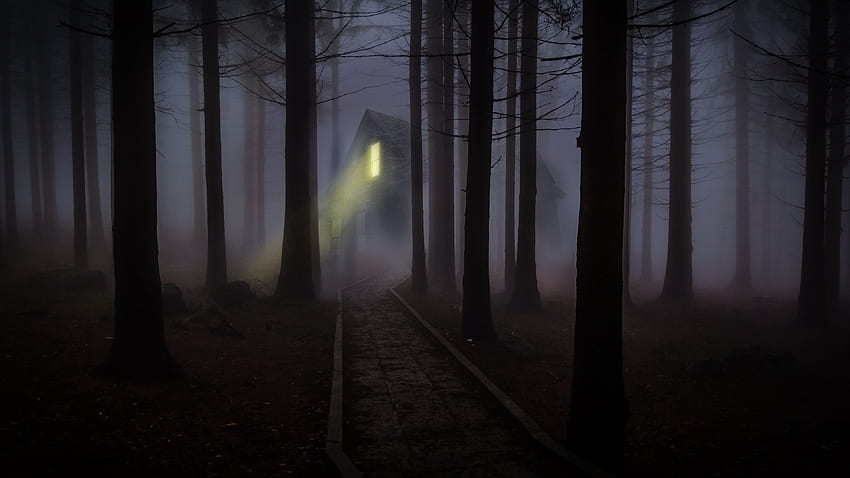 house, forest, fog, creepy, night fog, Forest, House HD wallpaper