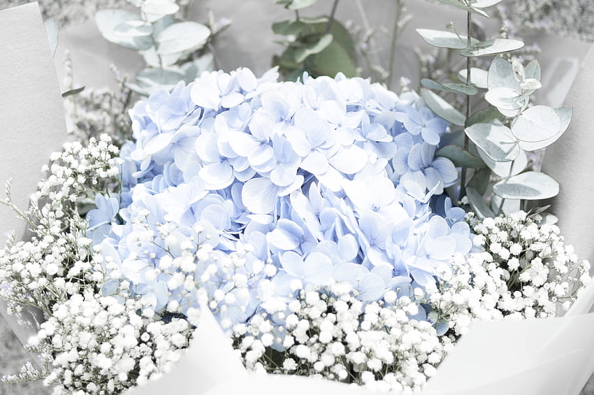 Flowers, Bouquet, Tenderness HD wallpaper