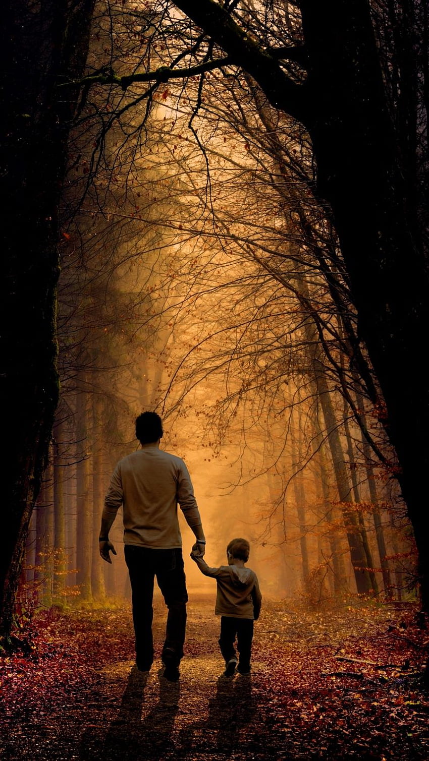 父と息子, 家族, 子供, 森 - お父さんと息子 -, 家族で散歩 HD電話の壁紙