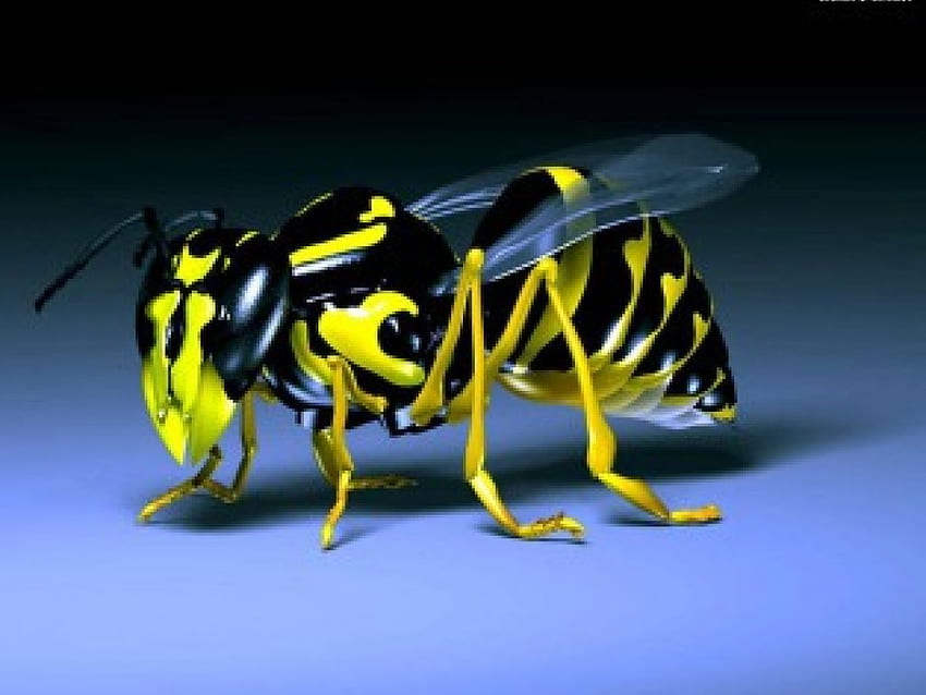 земна пчела, 3d и cg, абстрактно HD тапет
