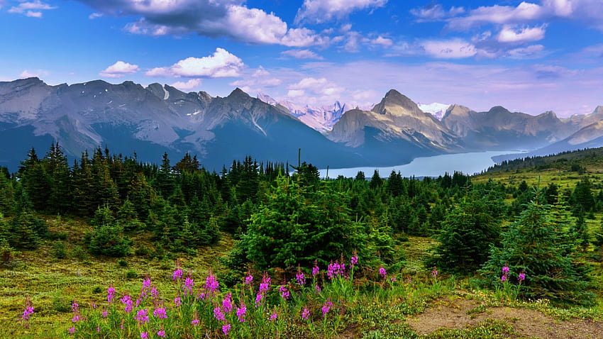 ภูมิทัศน์ที่มีภูเขาและแม่น้ำ แม่น้ำ ภูมิทัศน์ สวยงาม หญ้า ภูเขา ฤดูร้อน ต้นไม้ ธรรมชาติ ดอกไม้ ท้องฟ้า วอลล์เปเปอร์ HD