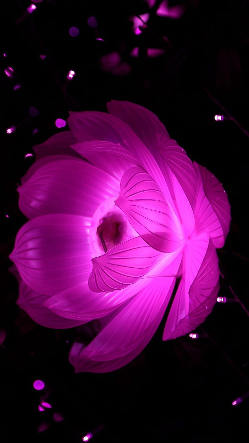 Lotus, abstraction, light, flower , background. Flower iphone , Purple flowers , Flower, Neon Lotus HD phone wallpaper