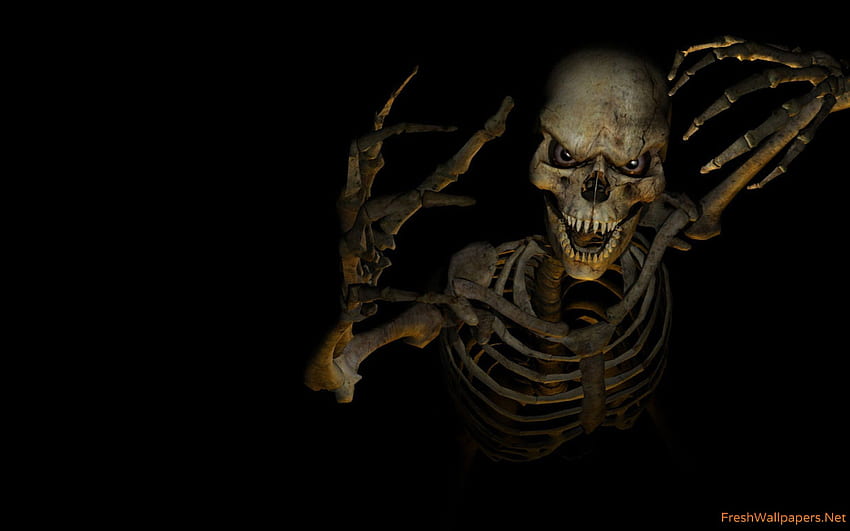 Cool Skeleton, Cool Minimalist Skeleton HD wallpaper