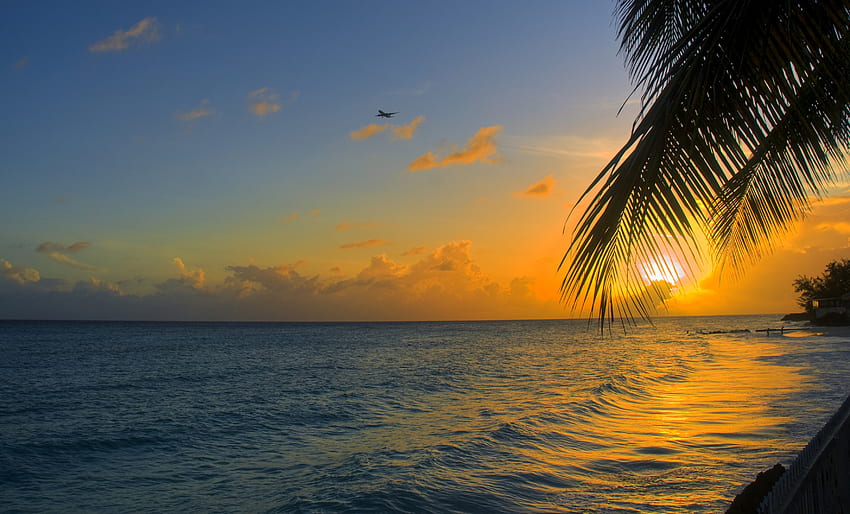 Alam, Matahari Terbenam, Pantai, Tepian, Lautan, Kelapa Sawit, Barbados Wallpaper HD