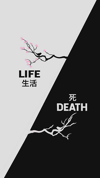 Life death HD phone wallpaper  Peakpx