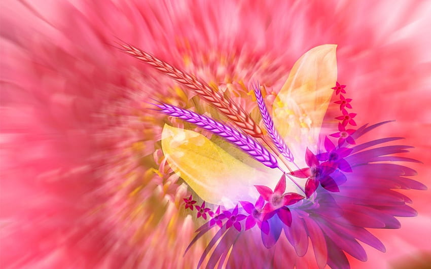 Pink Storm, flowers, wheat HD wallpaper