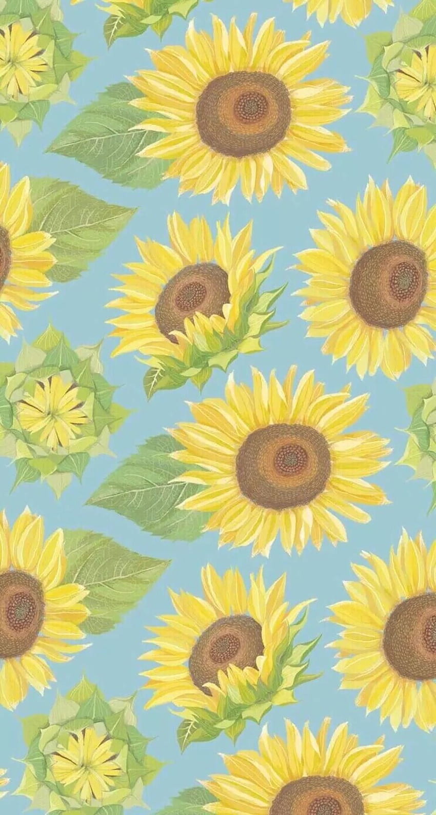 Sunflower Clipart, Sunflower Drawing HD phone wallpaper