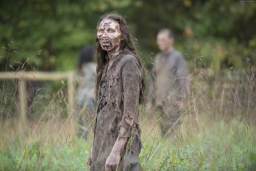 Woman with zombie outfit stands on grass field, Walking Dead Zombie HD wallpaper
