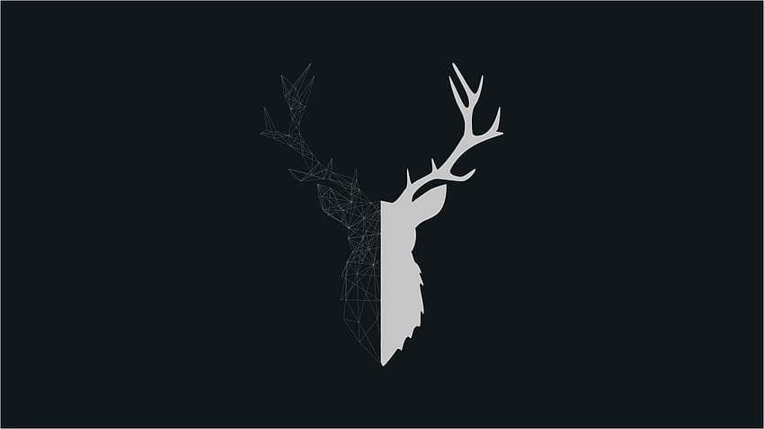 geometric stag . Stag , , 3D, Deer Antler HD wallpaper