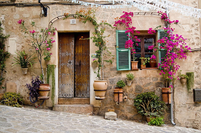 Provença papel de parede HD