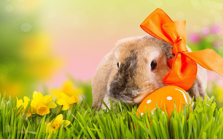 Easter Greetings, digital, art, eggs, bunny, flowers, grass HD wallpaper