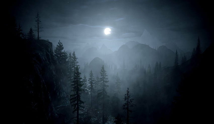 Dark Forest Moon, Dark Forest Aesthetic HD wallpaper