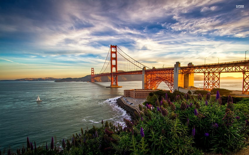 Golden Gate Bridge View PC and Mac , Golden Gate HD wallpaper