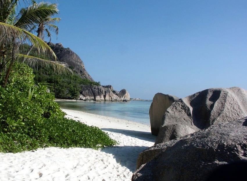 a rocky beach, trees, sand, water, rocks HD wallpaper