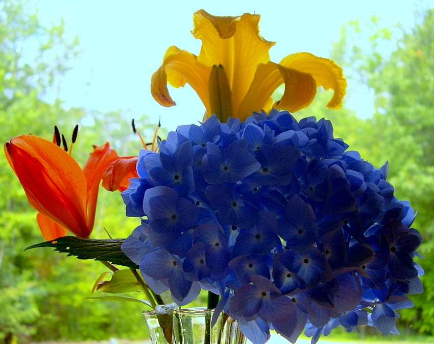 flores da primavera, jardim, natureza, flores, coloridas, primavera papel de parede HD