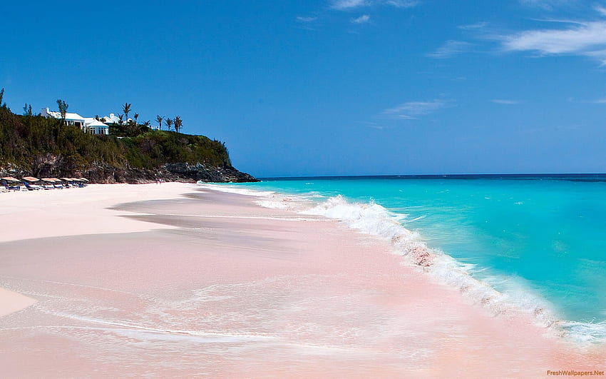 Pink Sands Beach เกาะฮาร์เบอร์ บาฮามาส วอลล์เปเปอร์ HD