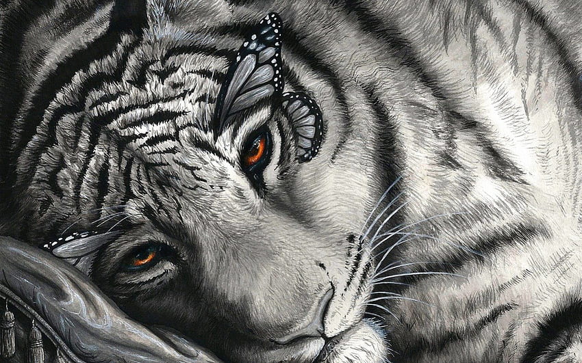 Butteryfly Tiger ขาว ดำ เสือ ผีเสื้อ ตา วอลล์เปเปอร์ HD