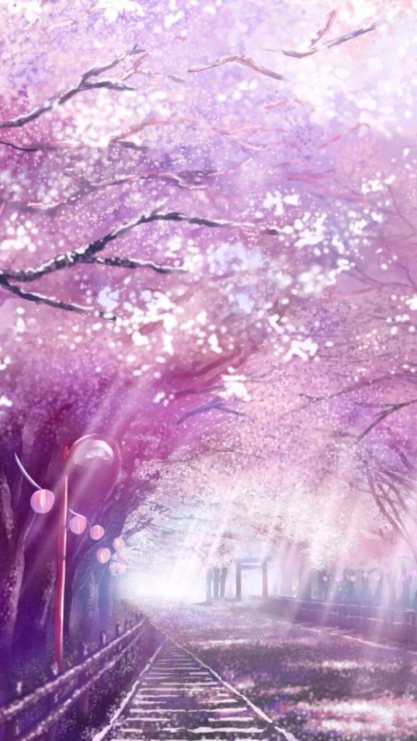 场景插画壁纸樱花. アニメ. Anime-Landschaft, Anime, Anime-Kunst, Pink Anime-Landschaft HD-Handy-Hintergrundbild