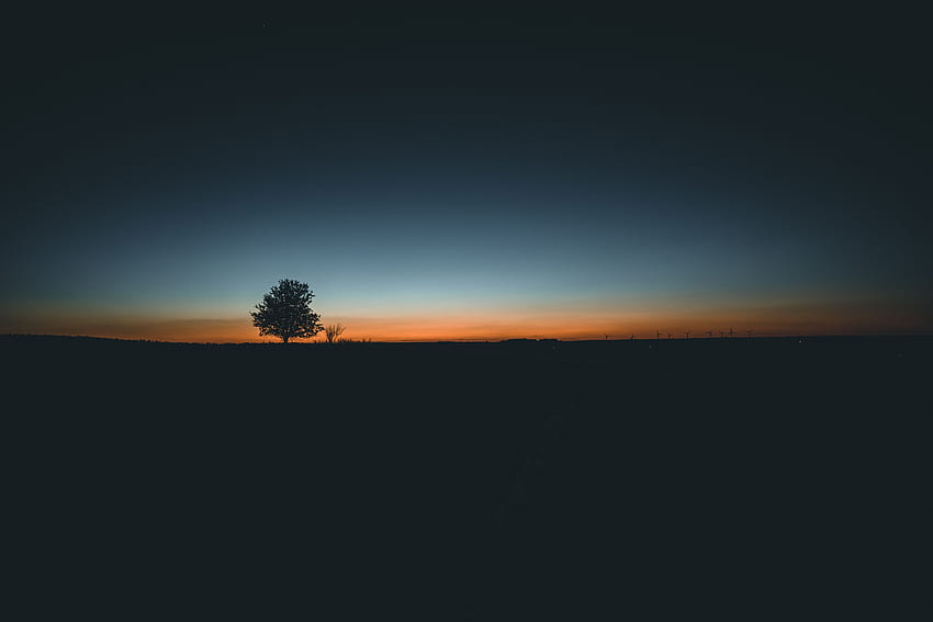 Zachód Słońca, Horyzont, Drewno, Drzewo, Minimalizm Tapeta HD