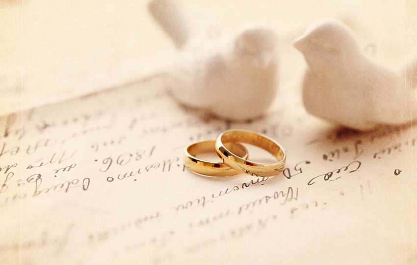 pair, Engagement rings, wedding, lovebirds HD wallpaper