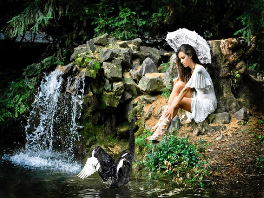 Born , parasol, rocks, beauty, lake, waterfall, trees, women, swan, water HD wallpaper