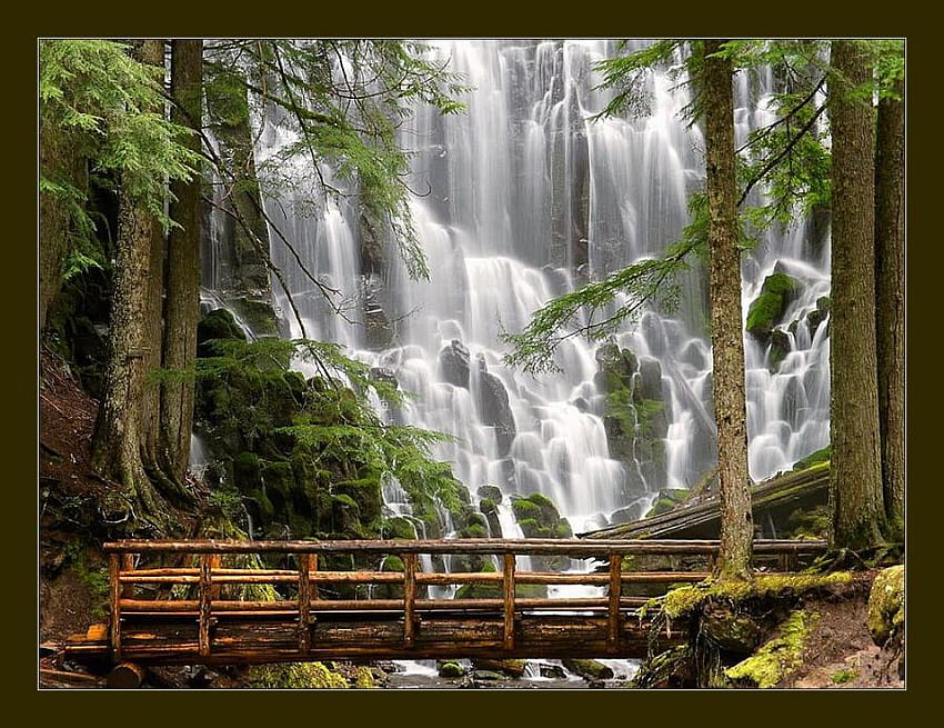 Ramona-Falls-Mount-Hood-Wilderness-Oregon-USA, falls, leaves, waterfall, bridge, waterfalls, beautiful, nature, tree HD wallpaper