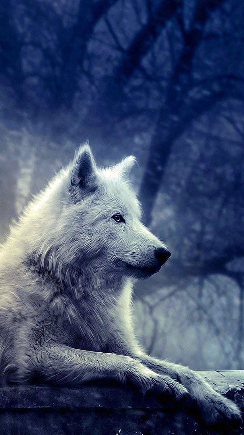 White Wolf IPhone Wallpaper  IPhone Wallpapers  iPhone Wallpapers