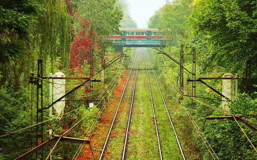 Landscapes nature tram poland wires vegetation HD wallpaper