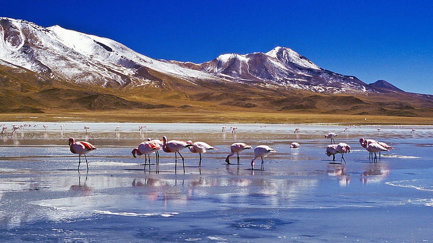 The Salar de Uyuni salt flats in Bolivia . Background ., Salar De Uyuni Bolivia HD wallpaper