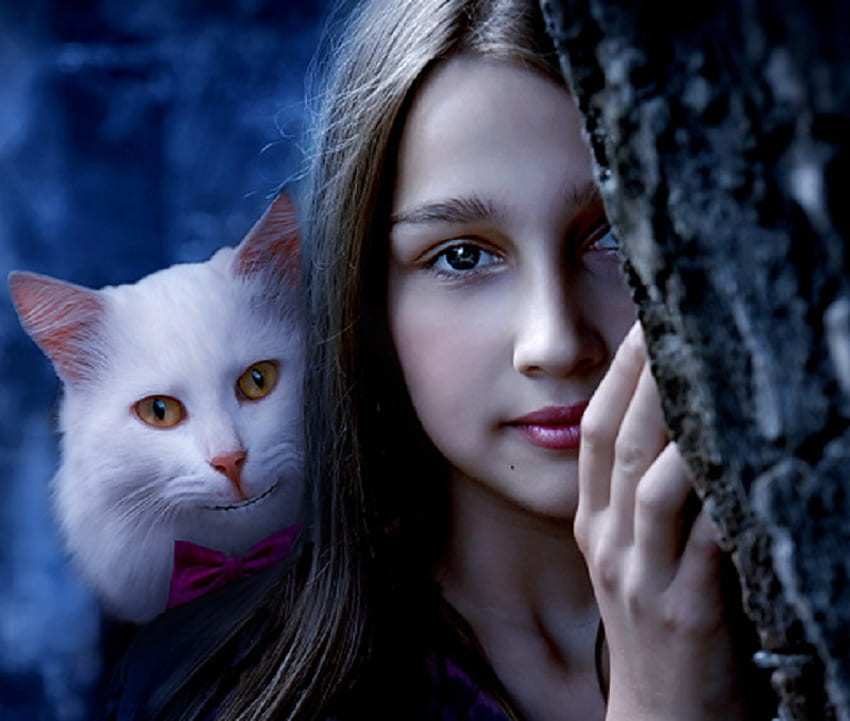 Alice, white, fantasy, cat, girl, curtain, cheshire HD wallpaper