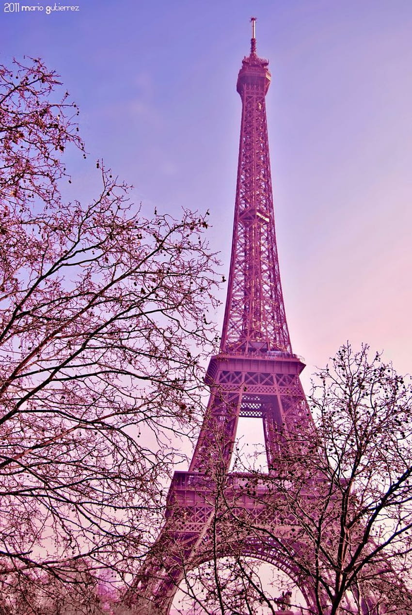 Pink Paris, Pink Paris France HD phone wallpaper