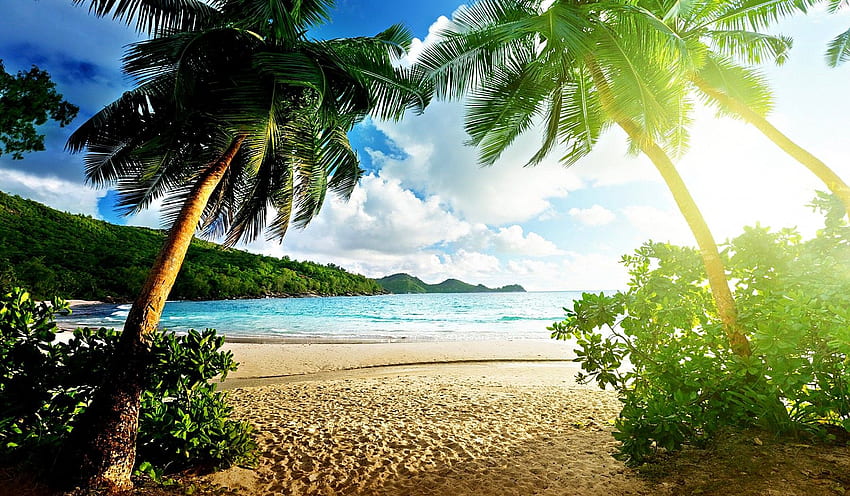 Beach: Tropical Beach Sunshine Summer Sand Artwork Sea Palms Sun, Beautiful Beach HD wallpaper