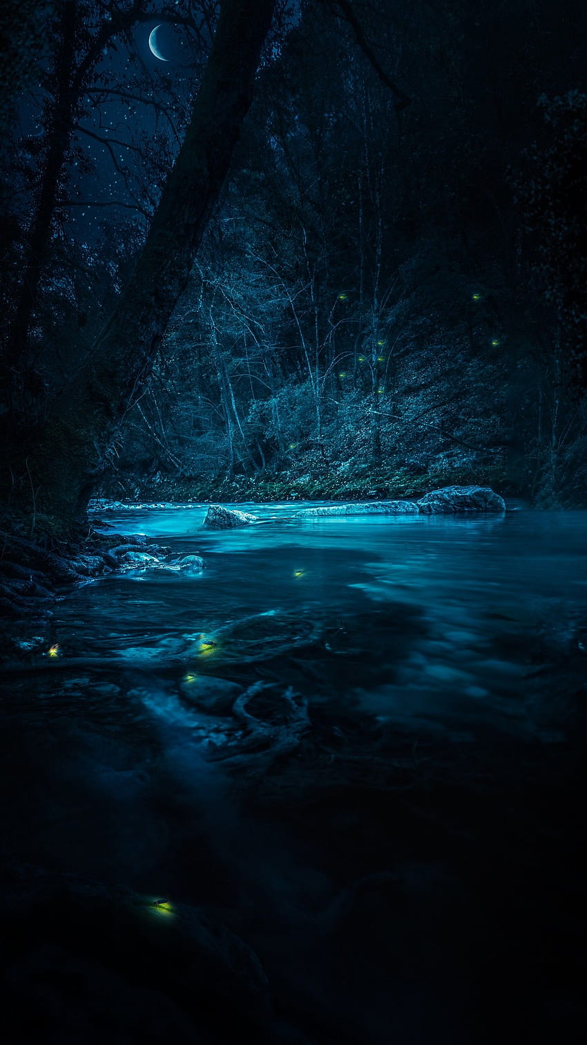Forest , River, Night, Dark, Magical, Crescent Moon, Blue, Fairies, Nature, Dark Rainy Night HD phone wallpaper