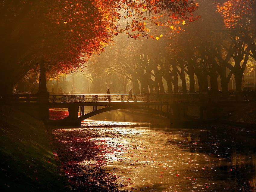 Reale, umore, telefono, ponte, canale, dusseldorf, autunno, iPhone Xr, Düsseldorf Sfondo HD