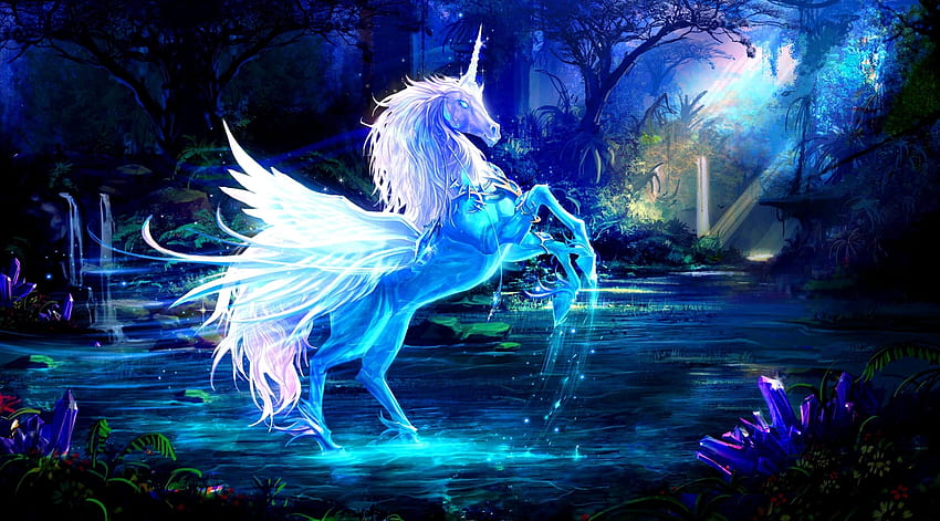 Fantasy, Magic, Water, Night, Forest, Unicorn HD wallpaper