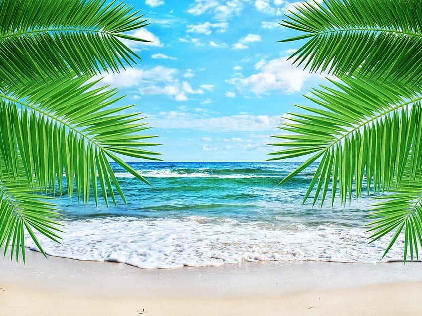 Tropical, Beach, Water, Wide, High, Definition, , For, , Background, High  Resolution , Colourful, , . The HD wallpaper | Pxfuel
