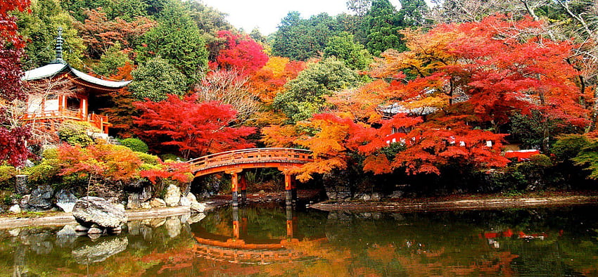 เกียวโต คลังเก็บวัฒนธรรมญี่ปุ่น ฤดูใบไม้ร่วงของญี่ปุ่น วอลล์เปเปอร์ HD