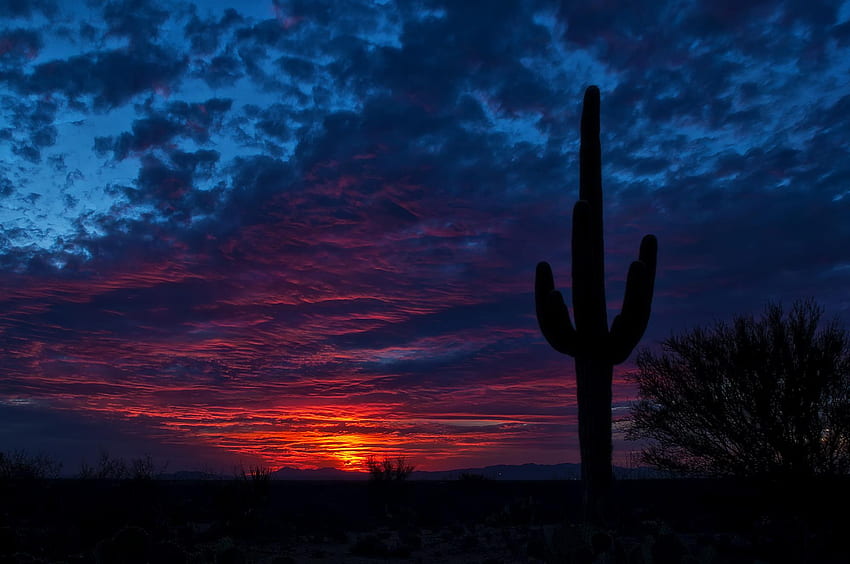 Arizona Night 3ur HD wallpaper | Pxfuel