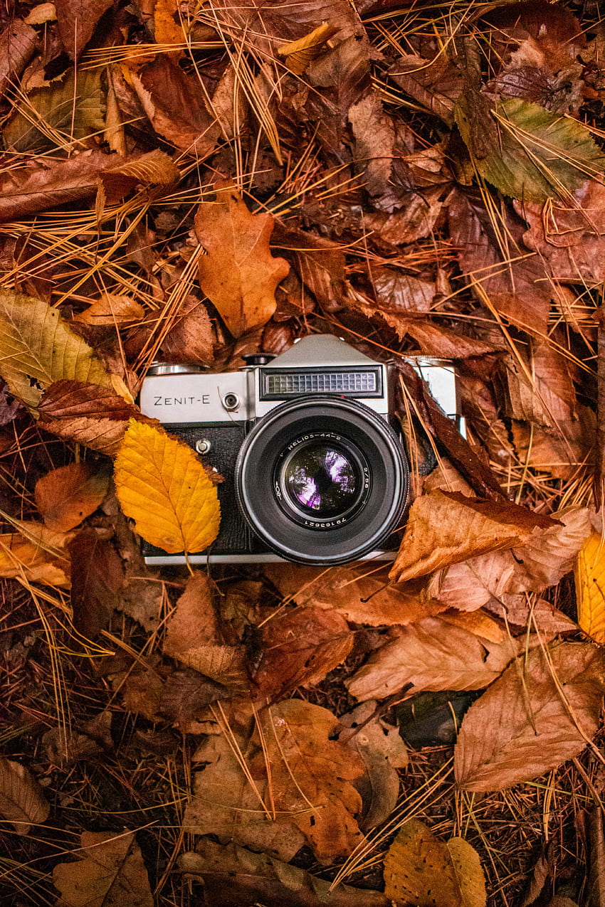 Vintage Camera - Photography & Abstract Background Wallpapers on Desktop  Nexus (Image 1671262)