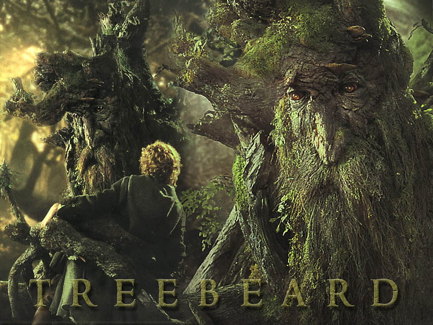 Treebeard HD wallpaper