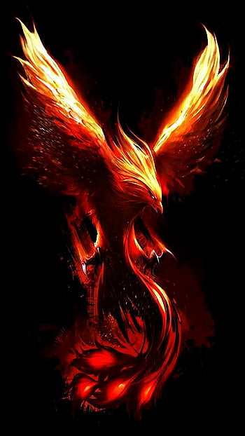 Mythical phoenix HD wallpapers  Pxfuel