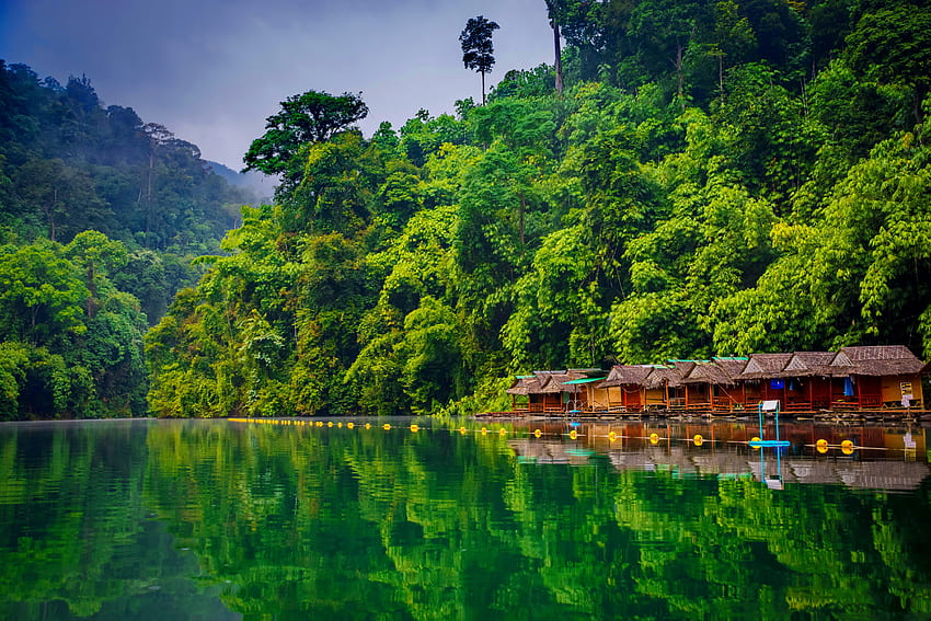 Khao Sok Milli Parkı, nehir, Tayland, güzel, sakin, göl, kulübeler, dinlenme, yansıma, Milli park, ağaçlar, yeşillik, orman HD duvar kağıdı