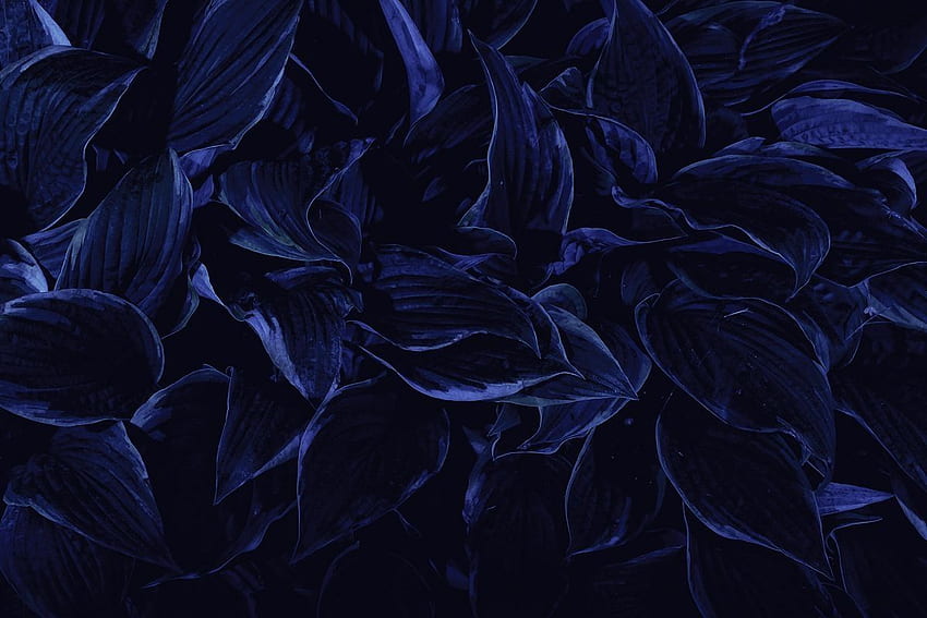 Dark Blue Aesthetic Tumblr - Android, iPhone,, 네이비 블루 에스테틱 HD 월페이퍼