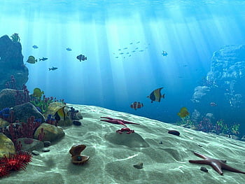 Tropical Scenes Beautiful And, ocean scenes HD wallpaper | Pxfuel