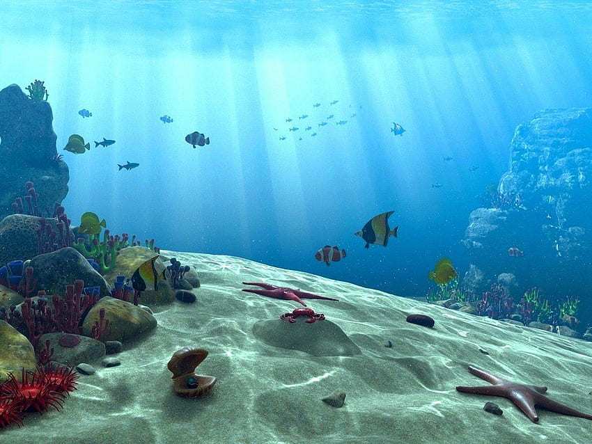 Underwater Ocean Scene 수중 장면 by akchilug [] for your , Mobile & Tablet. 바다 장면을 탐색하십시오. 여름 장면, 아름다운 바다 장면, 열대 HD 월페이퍼